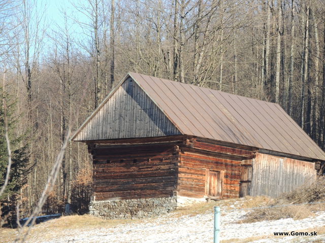 DSCN8703