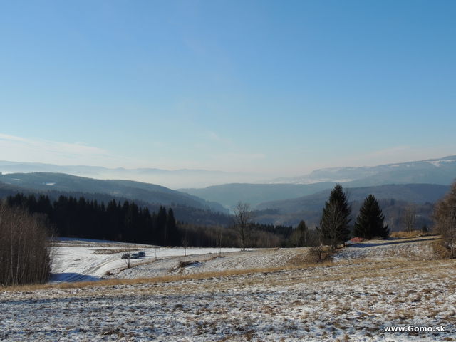 DSCN8705