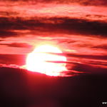 DSCN8781