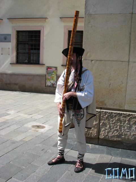 IMG_8334