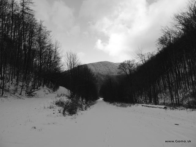 DSCN9165