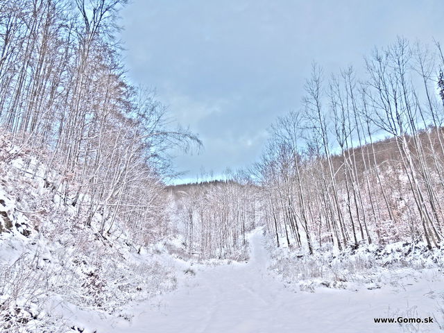 DSCN9172