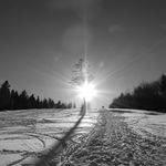 DSCN9730