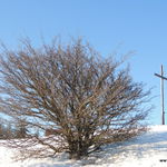 DSCN9757