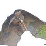 DSCN0024