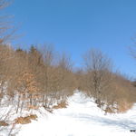 DSCN0092