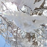 DSCN0157