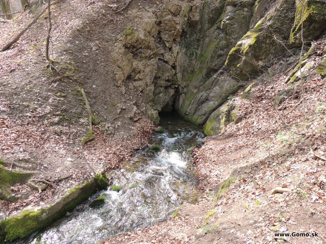 DSCN1494
