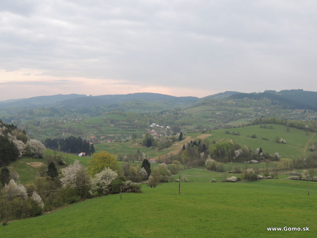 DSCN1686