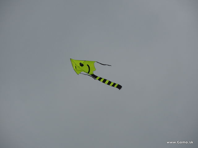 DSCN7617