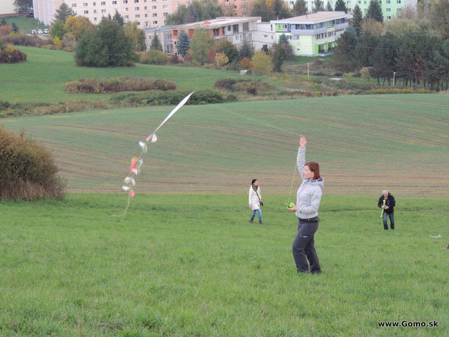 DSCN7649