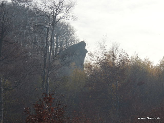 DSCN8064