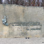 DSCN8398