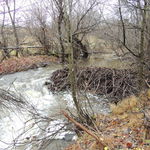 DSCN8429
