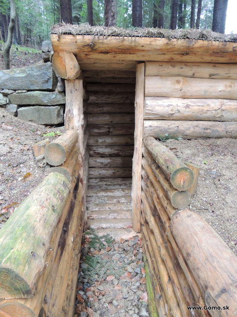 DSCN8436