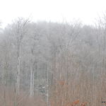 DSCN8493