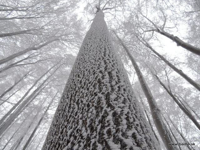DSCN8497