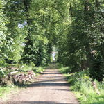 DSCN2735