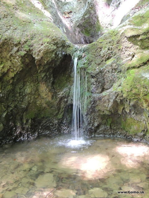 DSCN2874