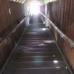 DSCN3542