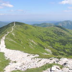 DSCN3637