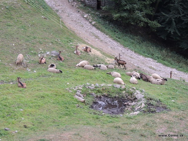 DSCN6882