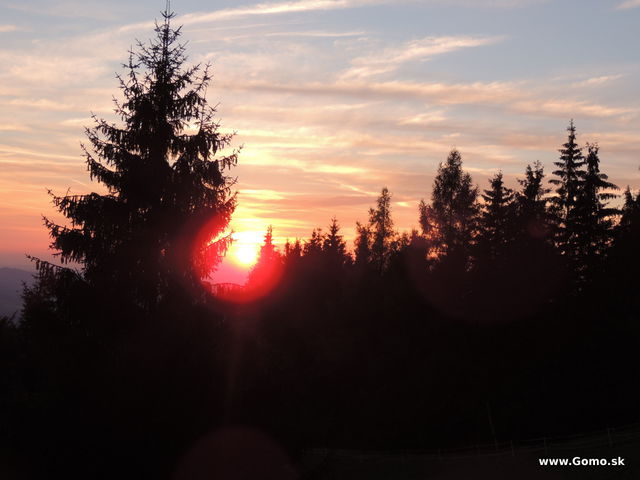 DSCN6896