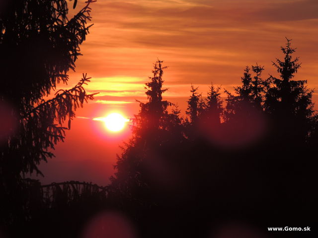 DSCN6897