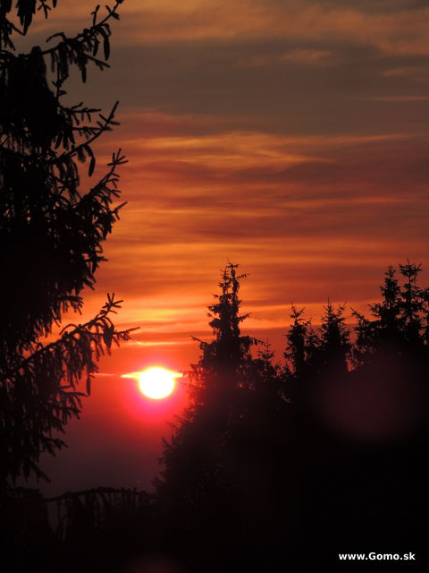 DSCN6898