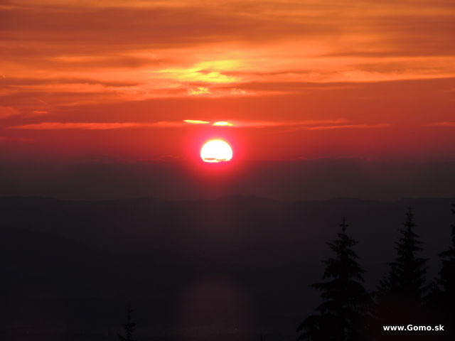 DSCN6903