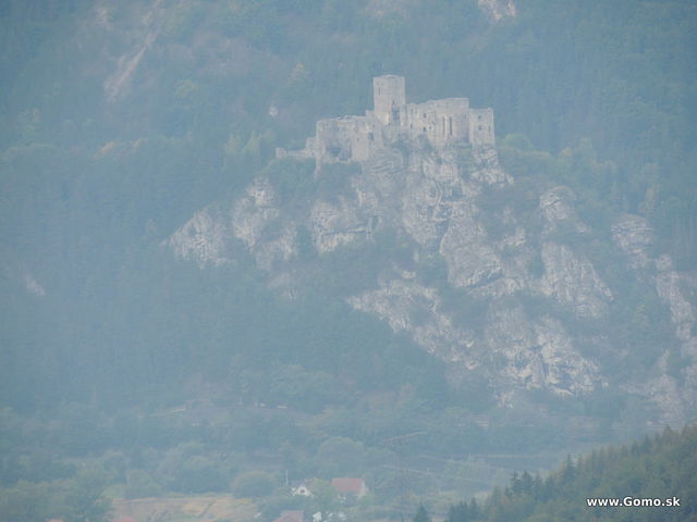 DSCN6908