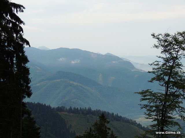 DSCN6914