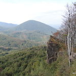 DSCN6958
