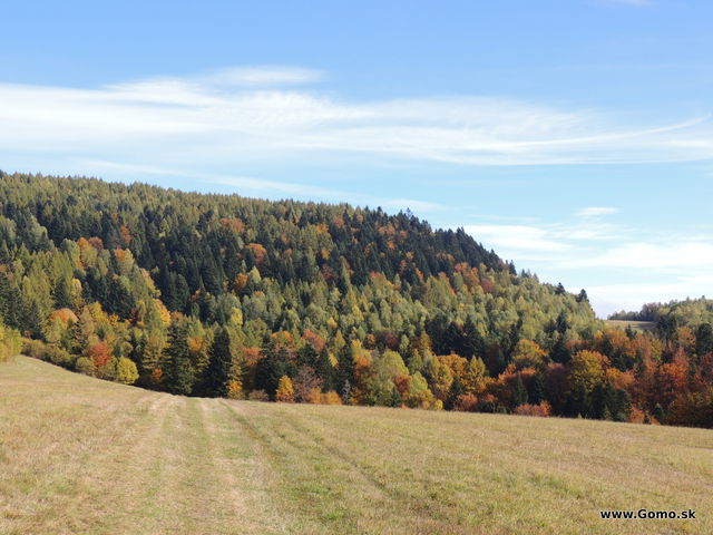 DSCN7825