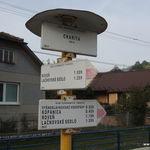 DSCN7843