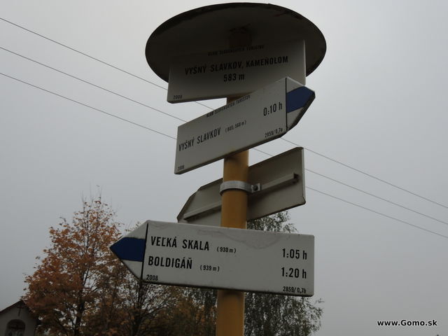 DSCN7855