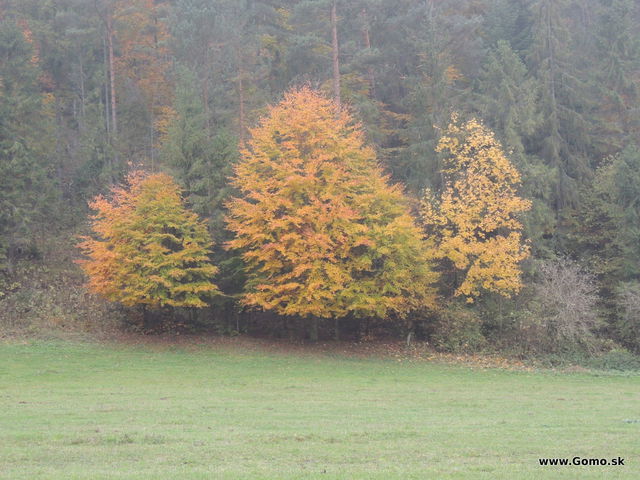 DSCN7856