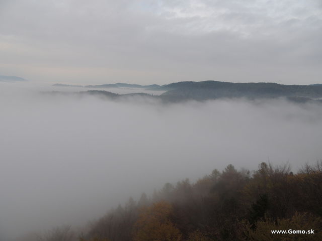 DSCN7882