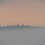 DSCN7884