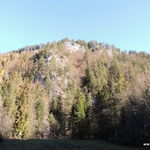 DSCN8121