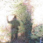 DSCN8127