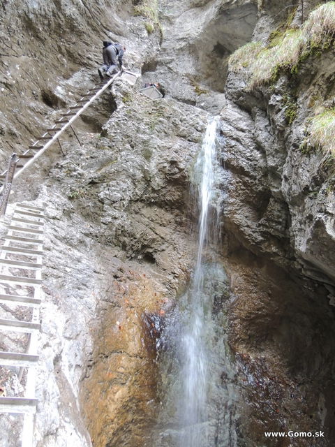 DSCN8225