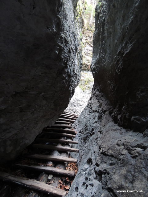 DSCN8241