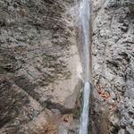 DSCN8253