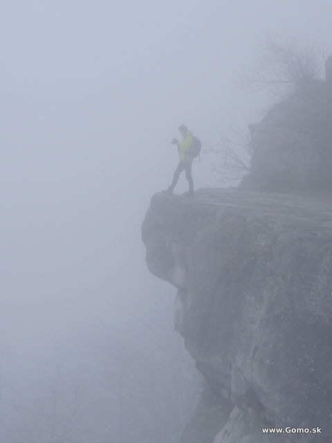 DSCN8312