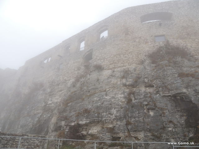 DSCN8327