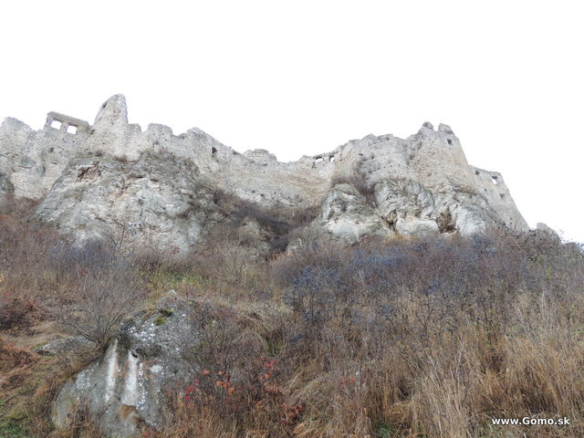 DSCN8388