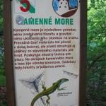 IMG_8552