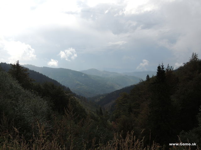 DSCN7015
