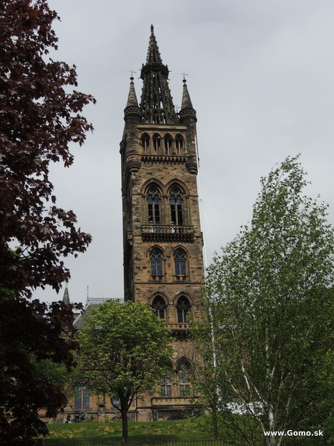DSCN1888